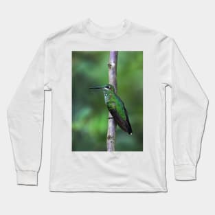 Green-Crowned Brilliant Hummingbird - Costa Rica Long Sleeve T-Shirt